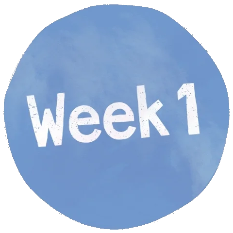 week 1.webp