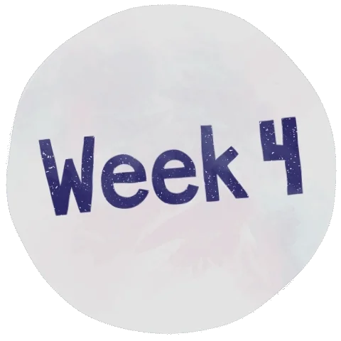 week 4.webp