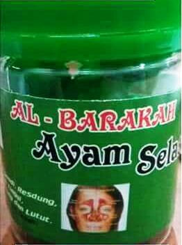 Imej kecil: Ma'jun Al-Barakah Ayam Selasih