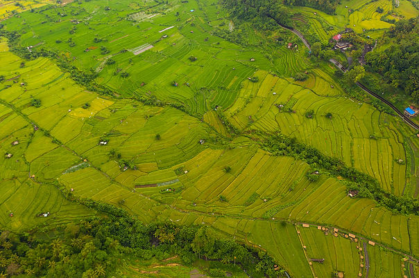 top-down-overhead-aerial-of-terraced-ric
