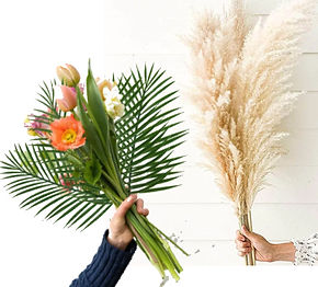 Add Pampas, Fonds or flowers