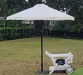 Umbrella