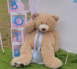 Teddy Bear