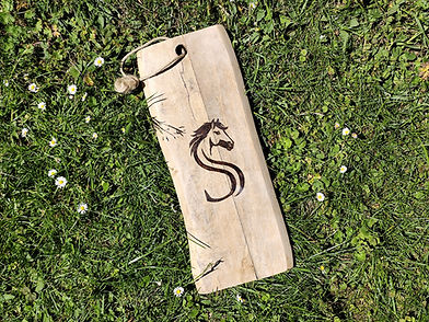 GROW Logo auf Brett gebrannt, liegt in einer Wiese mit Gänseblümchen