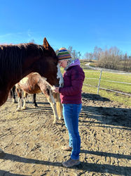 Simone und ein fuchsfarbiges Pferd stehen sich gegenüber und legen die Stirn aneinander