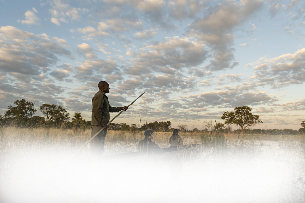 Safari en bateau mokoro