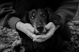 1 (6).jpg