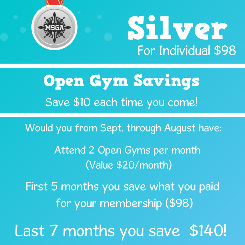 Silver Individual