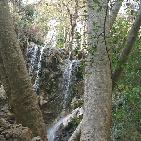 1773484025946.JPG