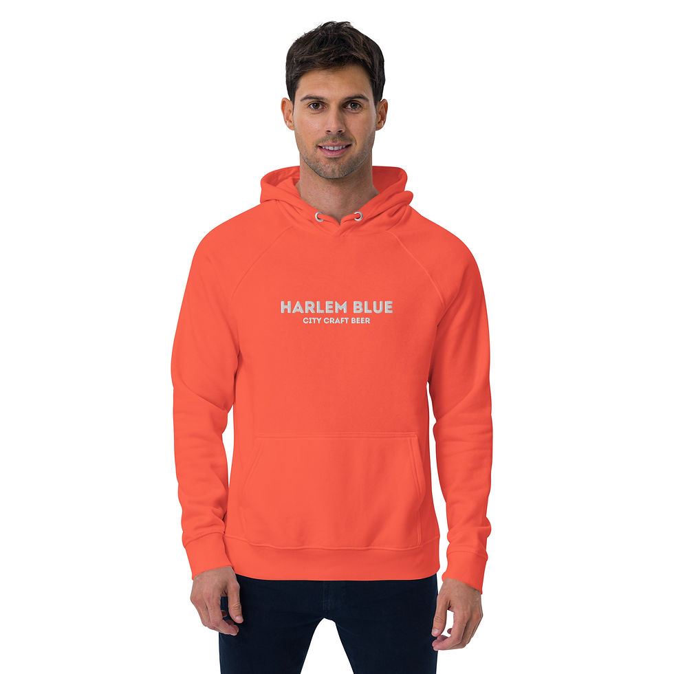 Thumbnail: EMBROIDERED ECO Raglan Hoodie