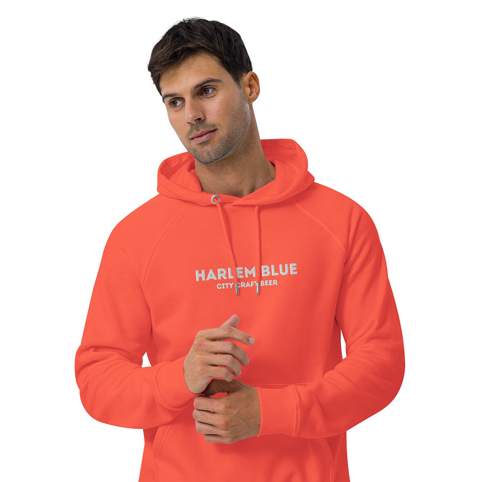 Thumbnail: EMBROIDERED ECO Raglan Hoodie