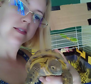 pet sitter, cat sitter, dog walker, alternative to cattery