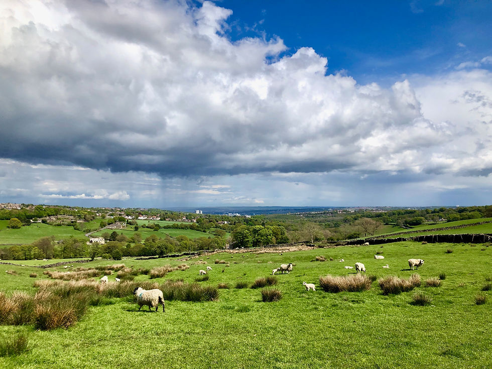 Peak District, Sheffield