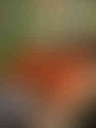 Strata Plant Pot Photography