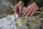 DSC_0026.JPG