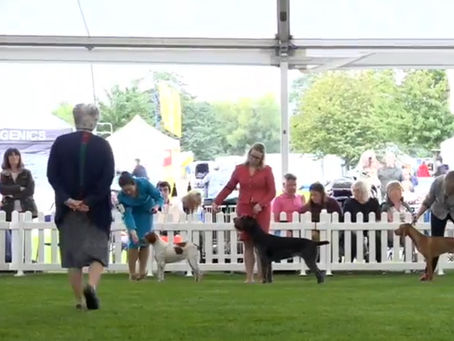 Show Results - Darlington 2023