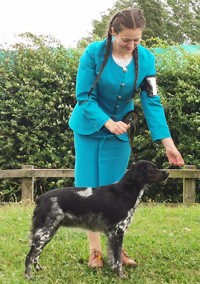 Sarah Finch Cetgueli Show Dog handling brittany