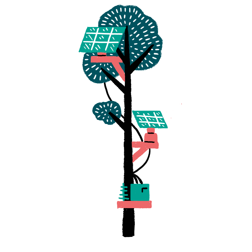 tall-tree-solar-animation.gif
