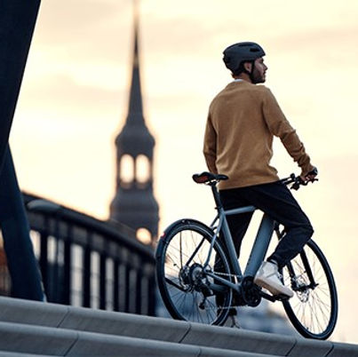 Riese & Muller roadster BIKE CONCEPT.jpg