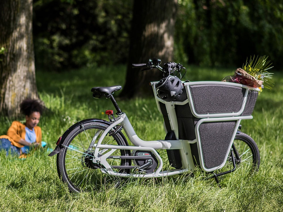 URBAN ARROW SHORTY - Active PLUS Rollerbrake 400Wh ...