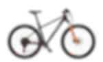 KTM ULTRA FUN 29 2024
