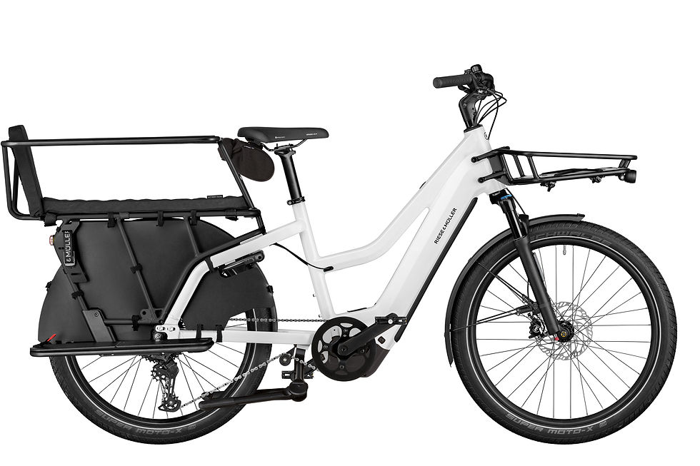 Thumbnail: MULTICHARGER3 MIXTE VARIO