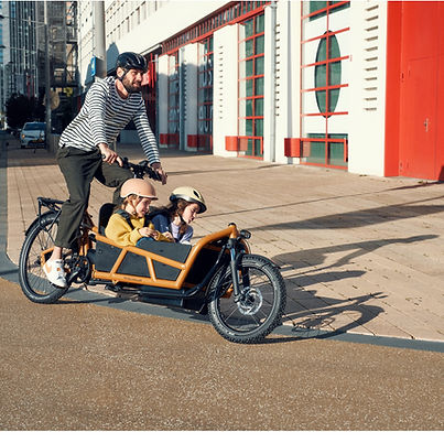 R&M_Load4_75_PeanutMtt_BIKE CONCEPT.jpg
