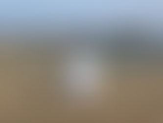 Foods that are damaging to our health...