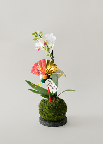 out           ❁ナチュラルを正月飾り❁バンブーラウンド❁ LUNAR NEW YEAR 2026 | Green Egg Store