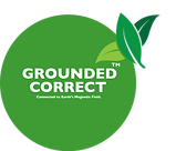 GROUNDED CORRECT ICON .png