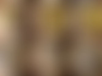 ヨルシェ完売御礼