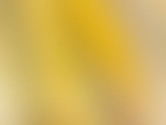 今週のラインナップ
