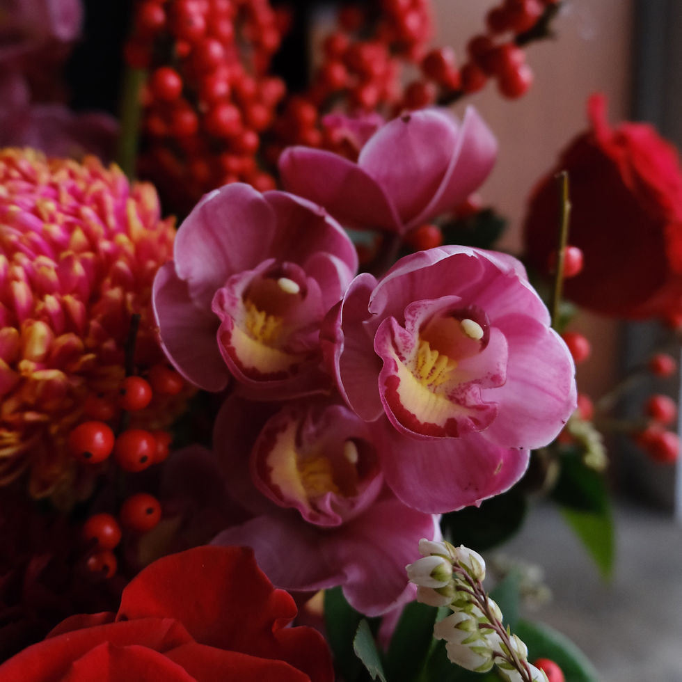 縮圖：鮮花｜ 駿勢當紅_新春鮮花盆花
