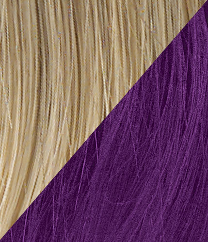 R14/88H Golden Wheat-DARK PURPLE