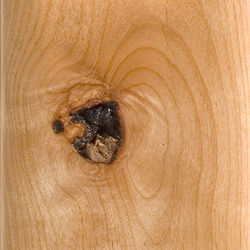 Alder Rustic Knotty