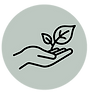 Untitled design (5).png
