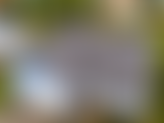 New residential roof in Sedro Woolley