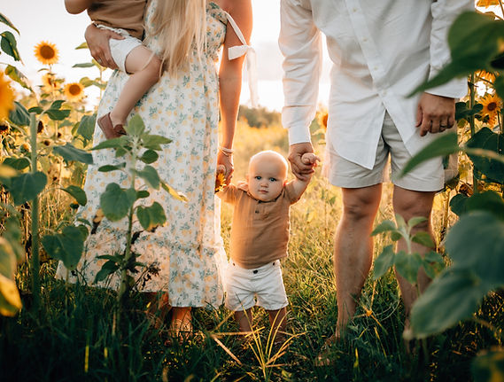 Sunflower (2 of 3).jpg