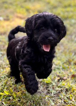 382337345_277486481775977_3301001003993984603_n - Copy.jpg