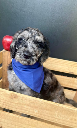 423903745_1066066114679510_3544648979523396535_n - Copy - Copy.jpg