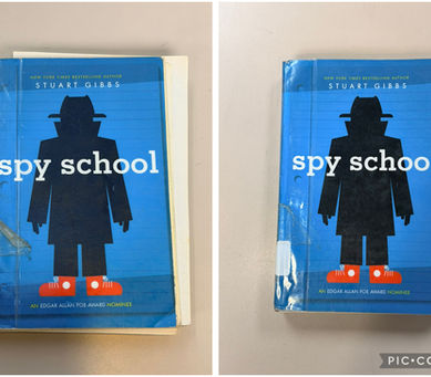 Book before and after repair