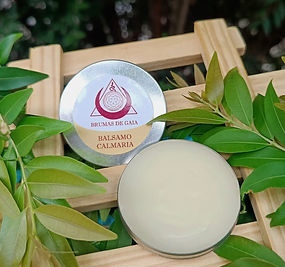 WhatsApp Image 2024-11-12 at 22.56.36 (1).jpeg