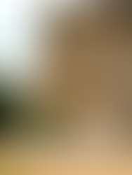 Impact of Labour’s Tax Policy on Private Schools and Housing Prices