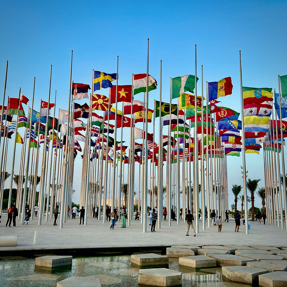 Image by Nareeta Martin