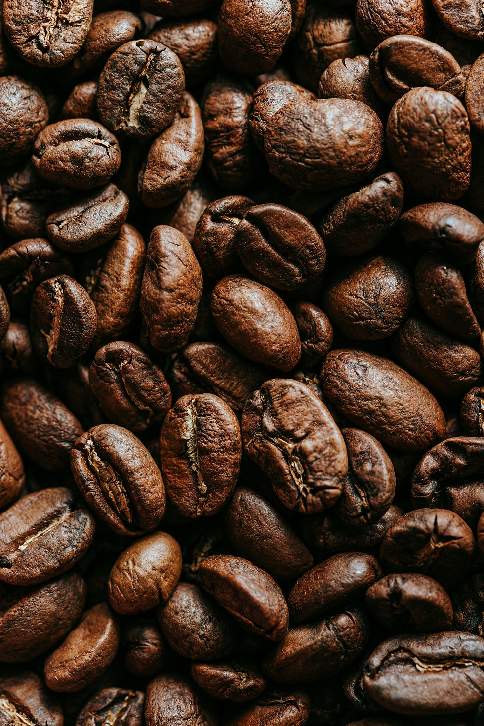 Coffee beans used for ATR Kulini Acoustic Coffee Panel
