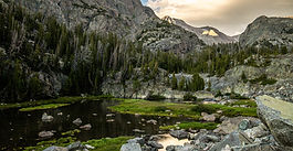 A scenic picture of a Wyoming forest service landscape