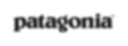 ai-web-Patagonia_Belwe_Black (1).png