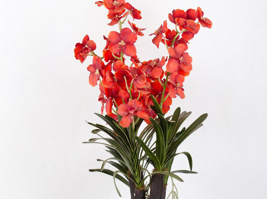 Thumbnail: Standing Artificial Orchid