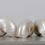 Thumbnail: Farmed Nautilus Shells from Indonesia