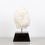 Thumbnail: White Marble Bhudda Head On Stand
